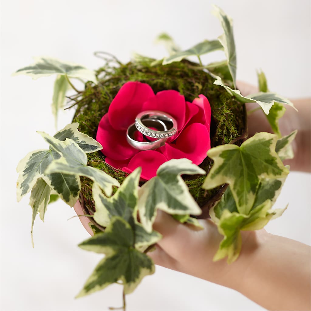Lila Rose Ring Nest – KELLY ANN'S FLORAL, Wilkes Barre PA