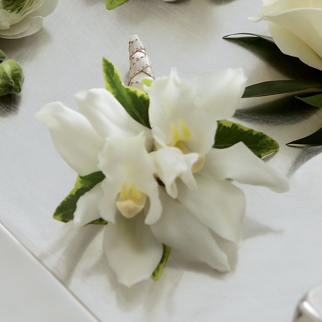 White Mini Cymbidium Boutonniere – KELLY ANN'S FLORAL, Wilkes Barre PA