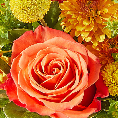 Gourdgeous Pumpkin – KELLY ANN'S FLORAL, Wilkes Barre PA