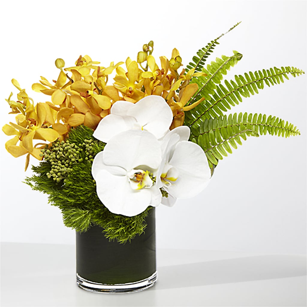 The Tropics – KELLY ANN'S FLORAL, Wilkes Barre PA