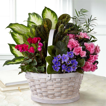 Peaceful Garden Planter – KELLY ANN'S FLORAL, Wilkes Barre PA