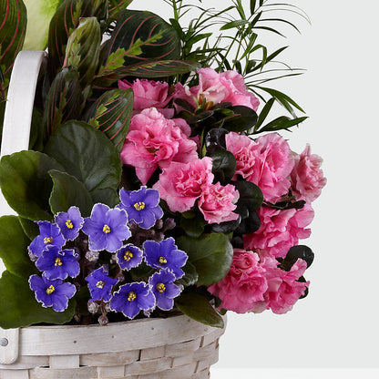 Peaceful Garden Planter – KELLY ANN'S FLORAL, Wilkes Barre PA