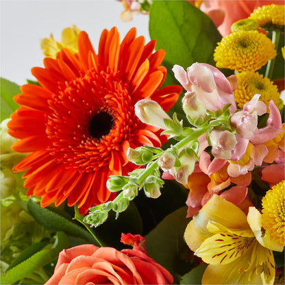 Autumn Sunshine Bouquet – KELLY ANN'S FLORAL, Wilkes Barre PA
