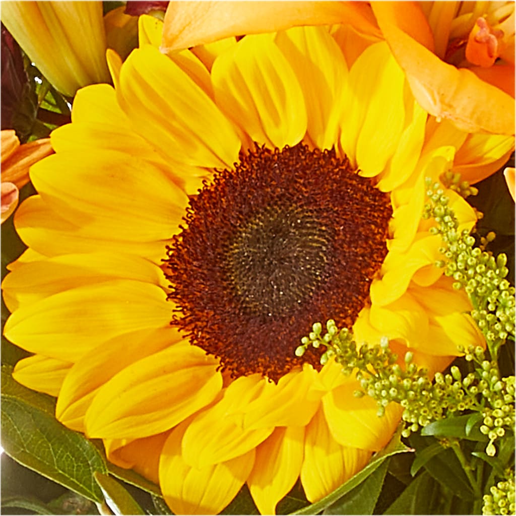Seasons Change Bouquet – KELLY ANN'S FLORAL, Wilkes Barre PA